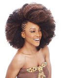 2X Afro Kinky Bulk 24" by JANET COLLECTION