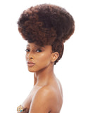 2X Afro Kinky Bulk 24" by JANET COLLECTION
