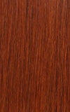 SILKY TOUCH Jumbo Kanekalon Braiding Hair by MODEL MODEL